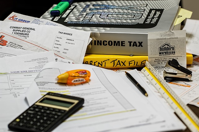 Income Tax Form: A Visual Representation of How Tax Policies Influence Wealth