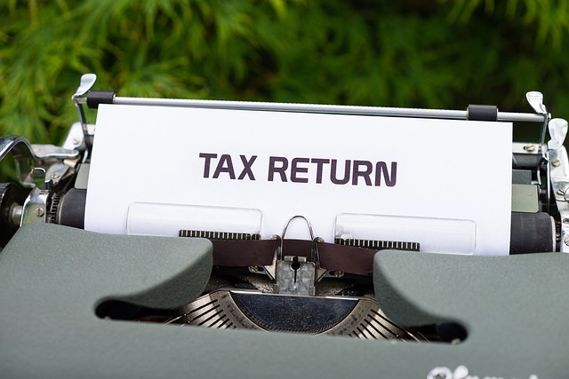 Tax Filing Form: Navigating the Tax System to Optimize Financial Outcomes